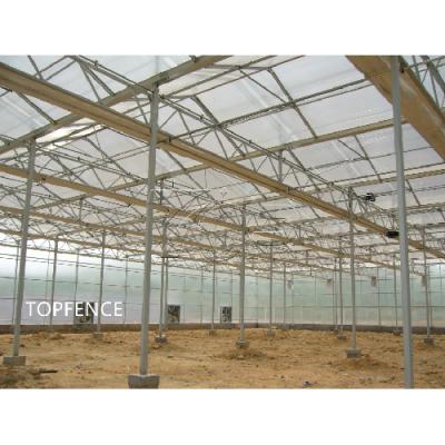 Hot Sale Factory Manufacturing Agricultural Farm Commercial Green House Solar Brackets