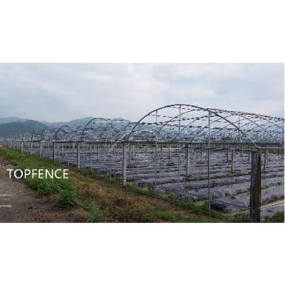 Hot Sale Factory Manufacturing Agricultural Farm Commercial Green House Solar Brackets